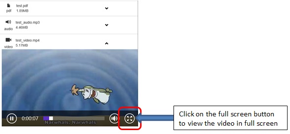 Figure 26: Viewing a video file in full screen mode